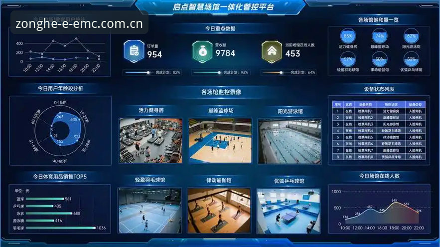 EMC易倍体育平台实用指南：老用户教你如何高效使用综合服务